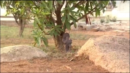 Prem Pratigya - 25th April 2025